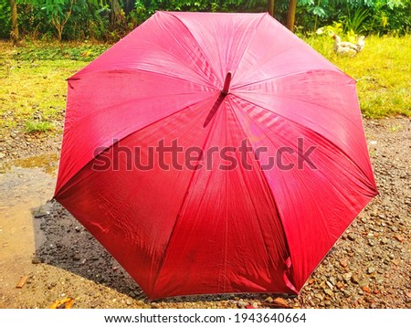 red umbrella in the yard. red umbrella
