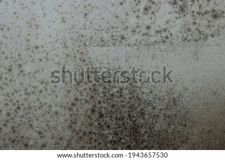 Mold on the Wall Extra Illuminated Intended as Wallpaper or Background. Fits for All Graphics. Games and Movies