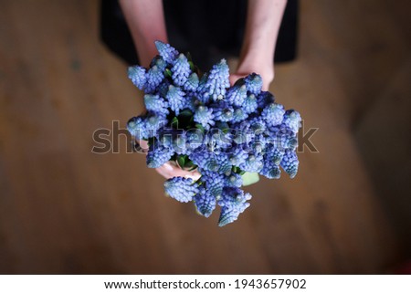 bouquet blu flowers in womans hends