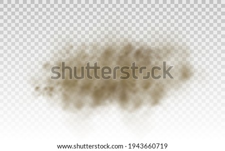 Flying sand. Dust cloud. Brown dusty cloud or dry sand flying with a gust of wind, sandstorm. Brown smoke realistic texture. 