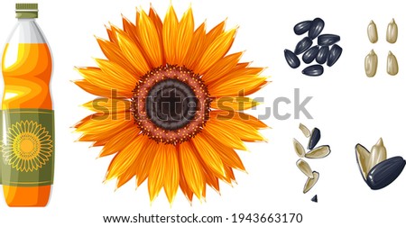 Set with oil, flower and sunflower seeds.