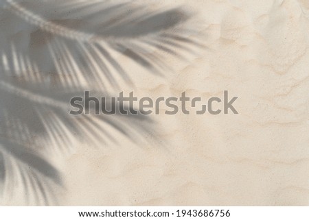 Copy space of shadow palm leaf on sand beach texture background. Summer vacation and holiday relax concept. Vintage tone filter effect color style.