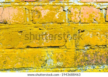 moss covered old brick wall background backdrop. High quality photo