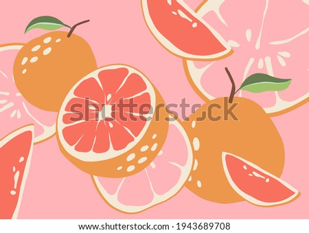 Abstract grapefruit. Pink background. Composition citrus fresh. Healthy food for vegan in modern style, colorful fruits vector set. Horizontal illustration. Border line. Royalty-Free Stock Photo #1943689708