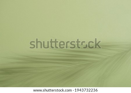 Palm leaf shadow on green background. Easter and Palm Sunday concept. Copy space. Royalty-Free Stock Photo #1943732236