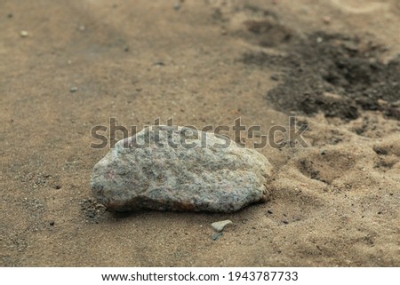 Close-up of a stone on a sandy beach