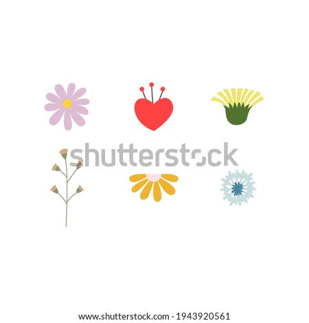 Wildflowers illustrations. Vector illustrations. White background.