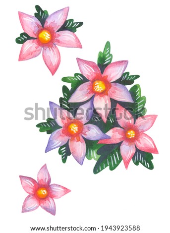 Watercolor illustration, pink flowers isolated on white background.Bright flowers with green leaves. Hand drawn illustration.