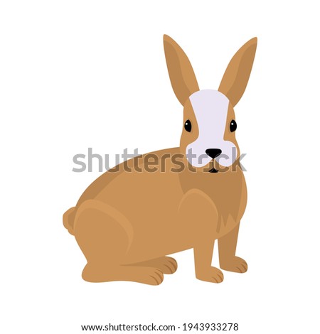 Rabbit. Vector illustration in modern flat style. Rabbit icon isolated on white background. For your design.