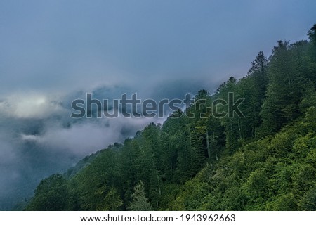 Top view of clouds, clouds in the mountains