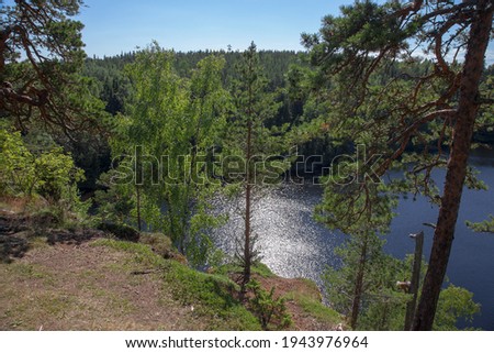 Tall pine trees on the steep shore of the island of Valaam in Lake Ladoga