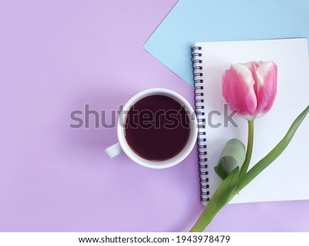 cup of coffee. tulip flower on colored background