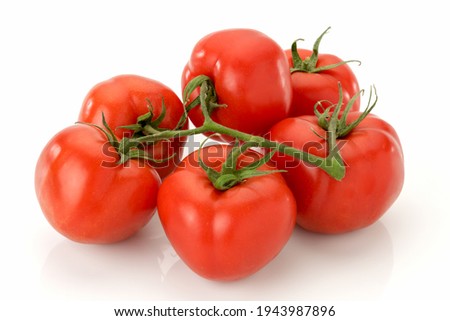 Tomatoes isolated on white background. Bunch of natural tomatoes