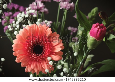 Close-up of an orange gerbera, purple chrysanthemums and white gypsophila at a black background. Mix of spring flowers. Dark moody photography style. Studio shot.