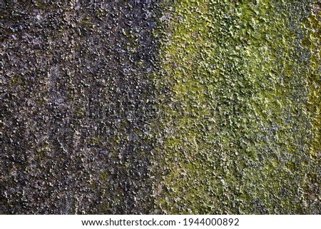 close-up on an old wall showing texture