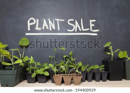 A variety of plants in pots against a chalkboard with the words 'Plant Sale' written on it.