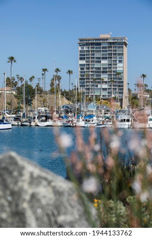 Daytime view of the marina skyline of Oceanside, California, USA.