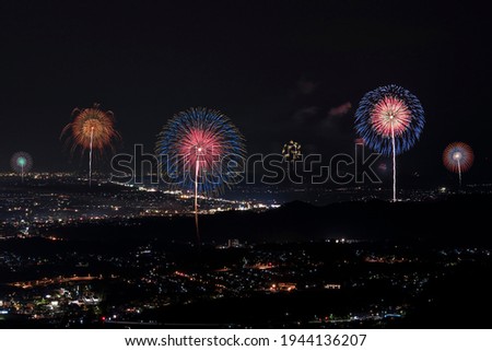 Colorful fireworks dye the night sky beautifully.