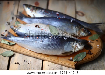 Selective focus. Spicy salted herring. Whole salted herring. Norwegian herring. Saltwater fish omega 3. Royalty-Free Stock Photo #1944141748