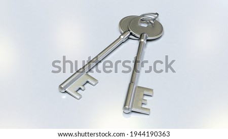 The two key have on isolated background and nice show so look. The key have sign success.