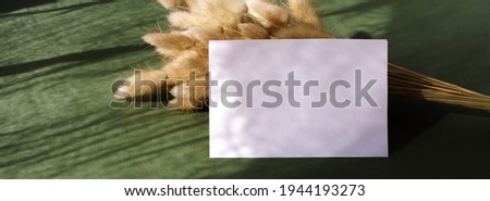Blank sheets of paper for text  and dry fluffy grass with sunlight shadow on green background.Banner. Greeting card mockup with copy space. Flat lay, top view