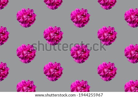 Pattern from a peony flower purple on a grey background.