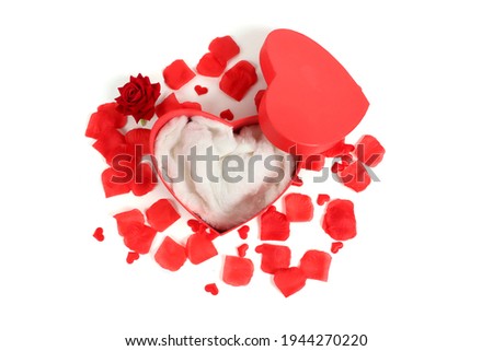 box hearth open with red rose petals isolated on white 