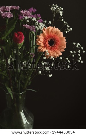 Vertical still life with a mix of spring flowers. An orange gerbera, red carnation, purple chrysanthemums and white gypsophila in a glass vase. Dark moody photography style. Studio shot, copy space