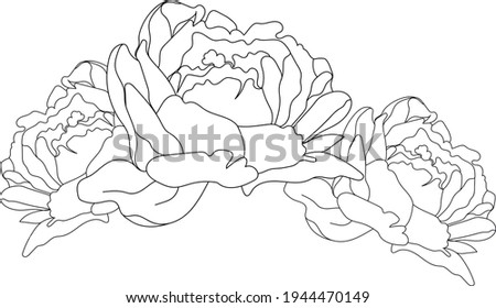 Bouquet of peonies, flower arrangement, line art. Vector illustration. Isolated on a white background. Hand drawing. Sketch. For attachments, postcards, tattoos, decor.