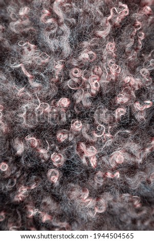 Texture of fur, macro colored sheep hair background, natural fluffy wool, furry surface, bring color