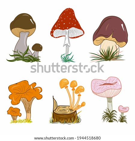 Set of mushrooms illustrations and icons. Colorful nature. Fungi. Idea for decors, picture in frame, gifts, ornaments, celebrations, invitation, greeting, logo, autumn holidays, environment themes.