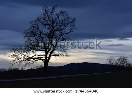 Tree on the horizon in autumn, Czechia, Europe.