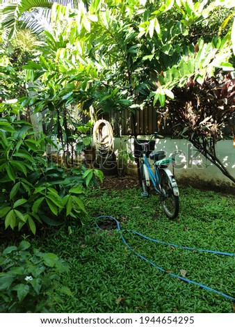 Old bike on home yard