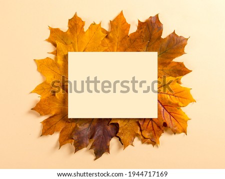 Frame and autumn leaves on yellow background, mockup for design, place for text, concept of autumn. Copy space.