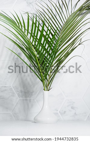 Wellness modern lifestyle - white interior with green palm leaves bouquet in sunshine with shadow on marble tile wall, wood table,  vertical.