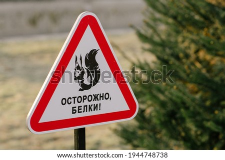 A warning sign with a red frame in the shape of a triangle with the image of a squirrel with a nut, on which the text in Russian is - Caution squirrels. Road sign in the park