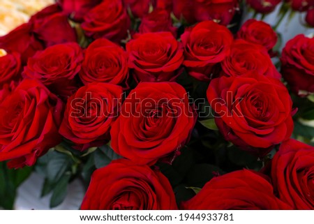 Flower texture, texture of a bouquet of roses