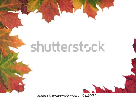 Border made from multi coloured mixed autumn leaves