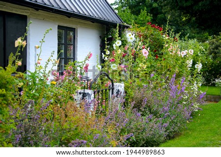 Beautiful natural garden with multicolored blooming flowers in front of a typical traditional old scandinavian rustic house in Skane, Sweden. Royalty-Free Stock Photo #1944989863