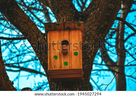 Yellow birdhouse on a tree against a blue sky. Spring. Birdsong in nature.