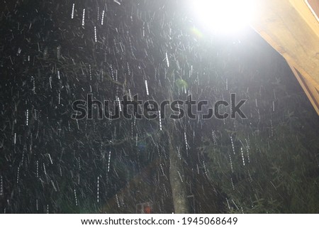 Snowfall in long exposure - view to the light of a lamp in the dark