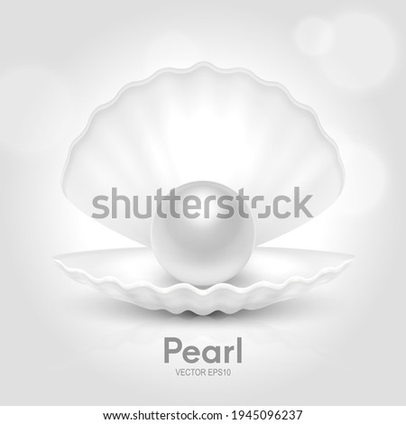 Vector 3d Realistic Beautiful Natural Opened White Pearl Shell with White Pearl Inside Closeup Isolated on White Background with Reflection. Design Template of Seashell for Graphics. Front View Royalty-Free Stock Photo #1945096237
