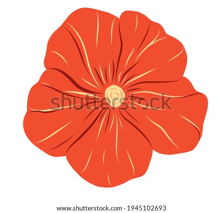 Vector red poppy flower clipart isolated on white background. Bright floral illustration. Hand drawn botanical clip art.