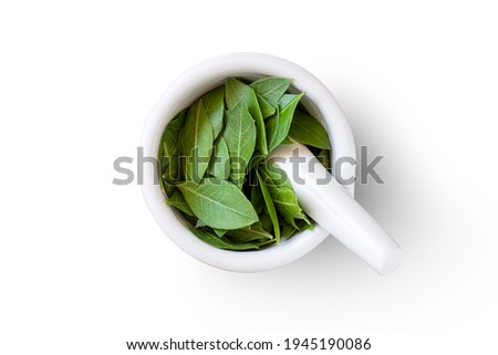 Herbal Henna leaves in white mortar with pestle on white background. Natural product for organic hair colouring. Top view. Flat lay. 