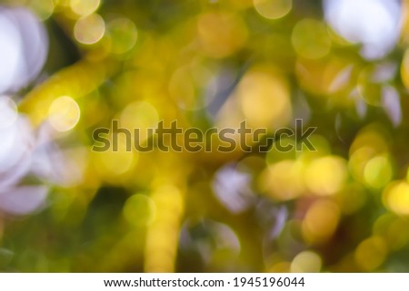 Abstract green and yellow netureNatural light of Bokeh, green and yellow bokeh background,