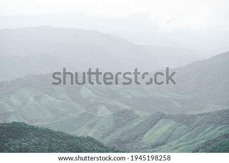 Panoramic landscape picture of fresh green rain forest and mountain background.