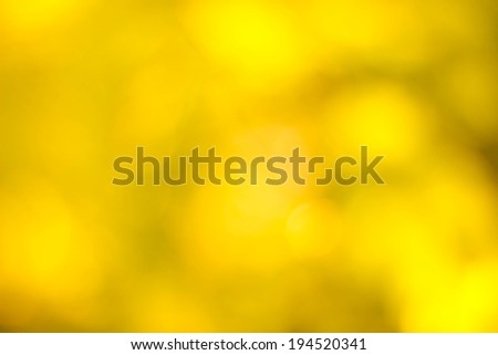 yellow bokeh from tree, yellow background, sunset background