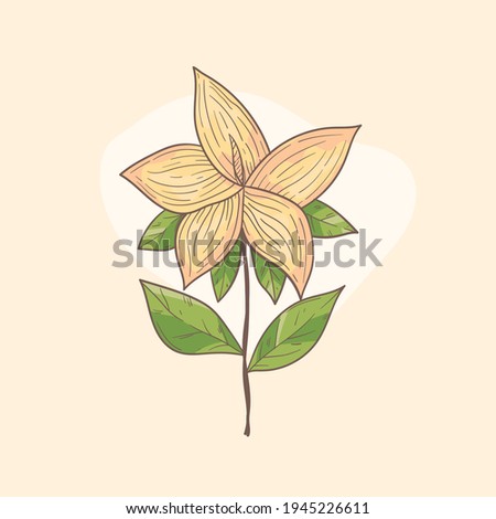 Hand drawn tropical flower, Botanical flower,  floral element for textile decoration and wallpaper