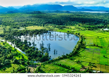 Beautiful landscape picture of aerial view of paddy fields from plane