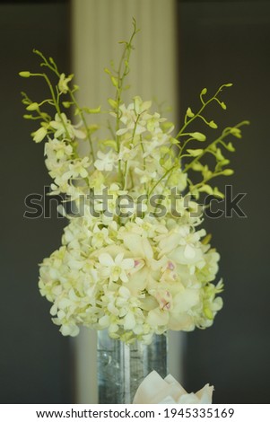
White orchid close up picture